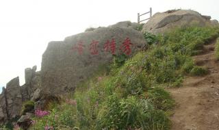 请教芦芽山自驾上山路线